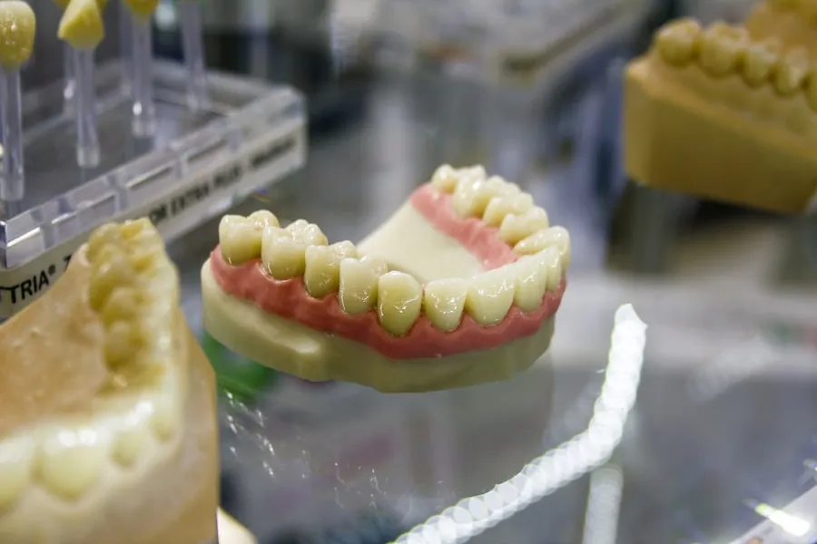 Close-up of a dental model of teeth in a dental laboratory